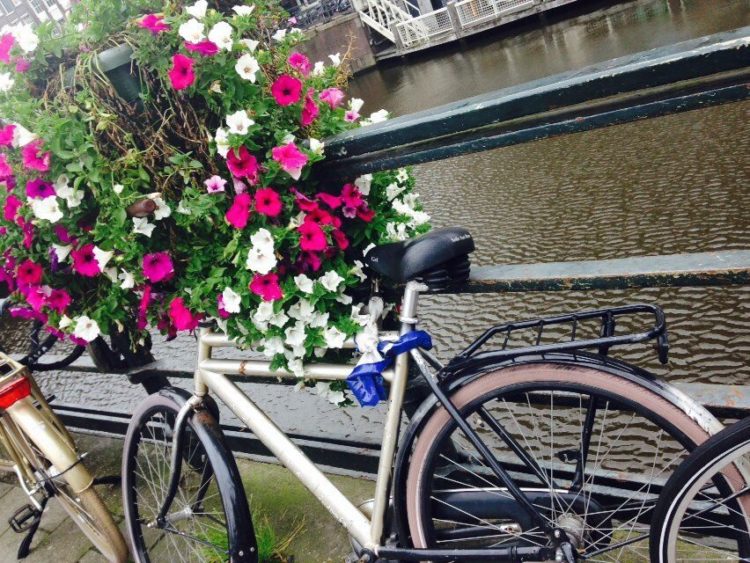 bicicletas en amsterdam