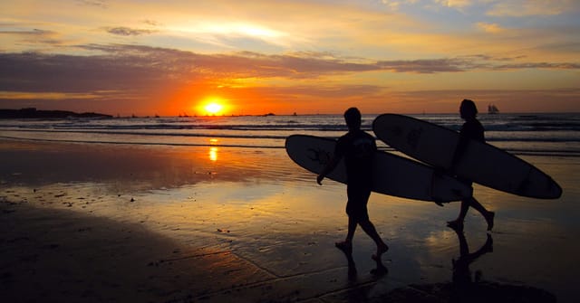 surf in tama