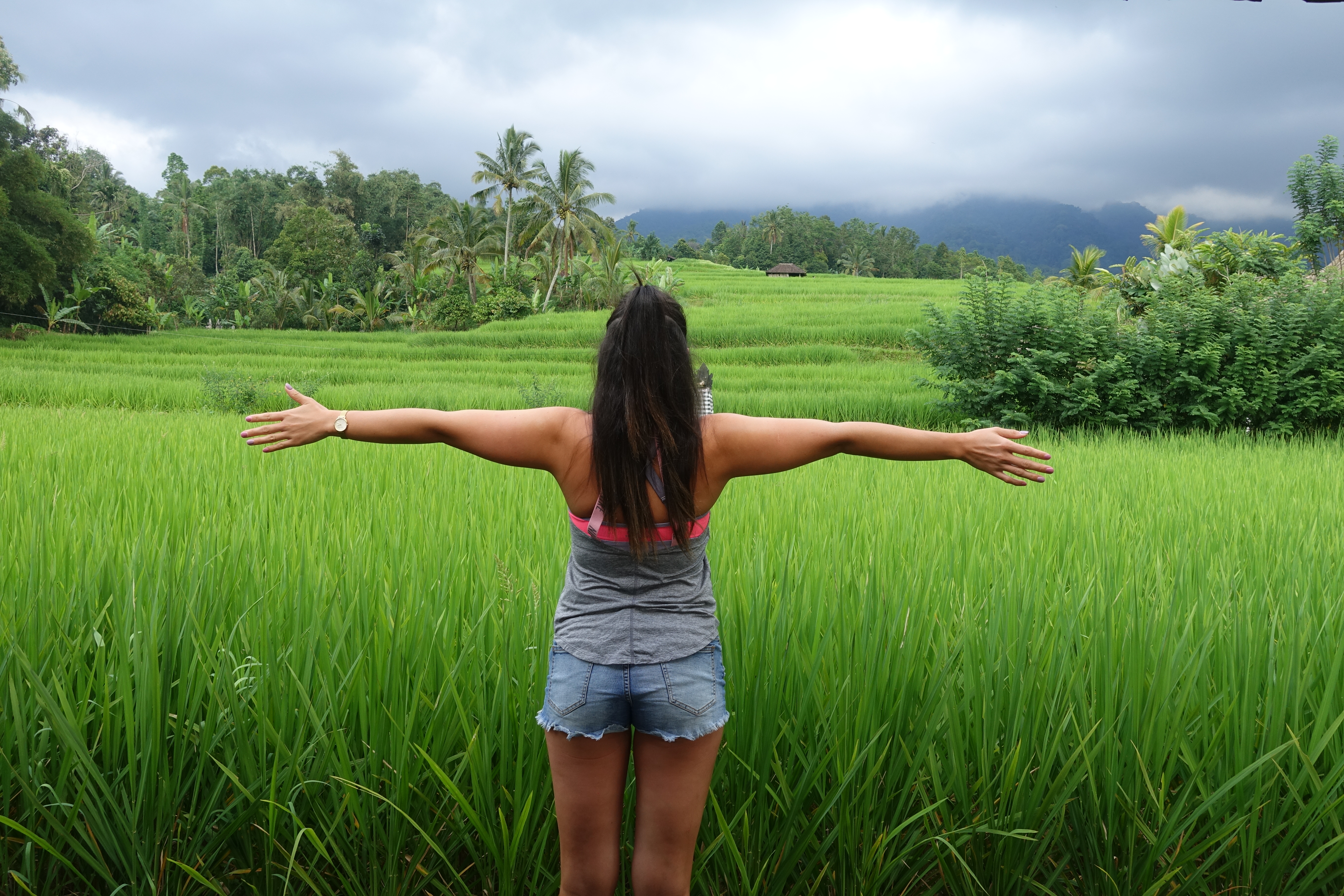 que hacer en bali