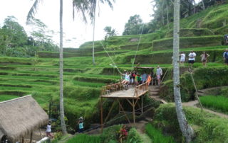 Tegalallang Bali Swing