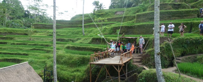 Tegalallang Bali Swing