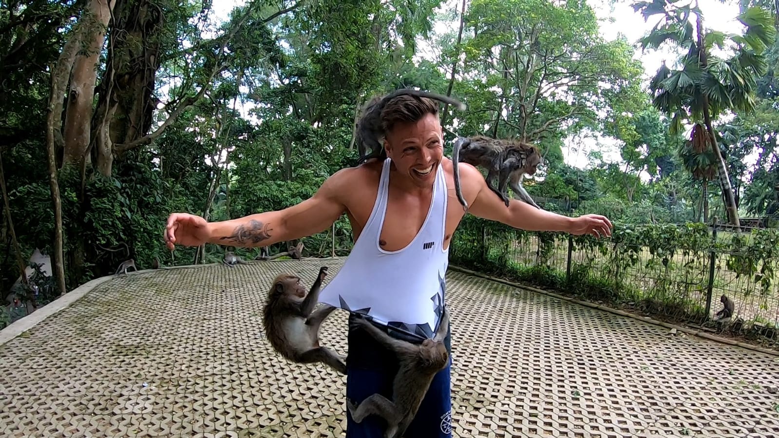 Monkey forest Ubud Bali