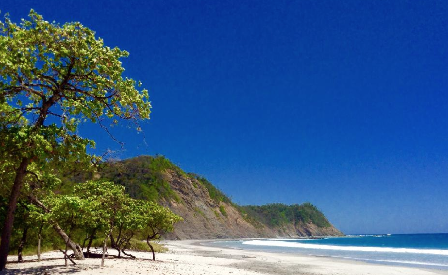 playa nosara barrigona