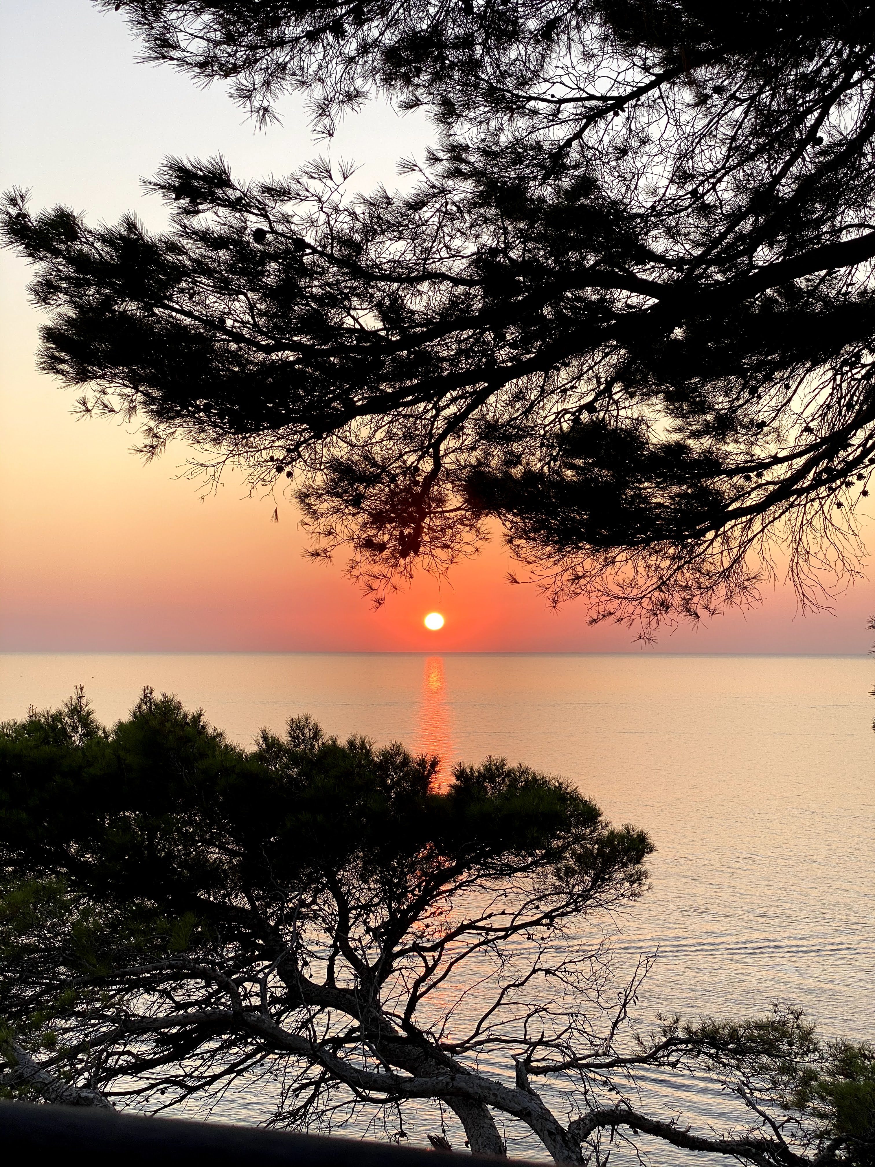 atardecer en nautilus soller